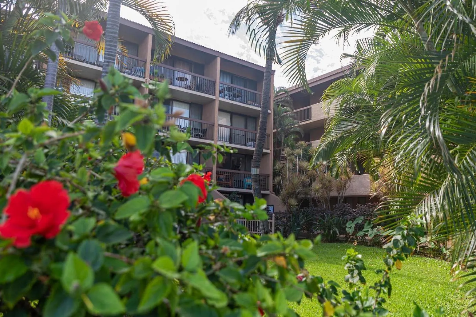 Maui Vista 2417 Villa Kihei 0*,  USA